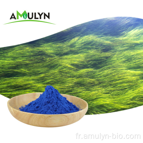 Colorant alimentaire naturel en poudre de phycocyanine de spiruline bleue